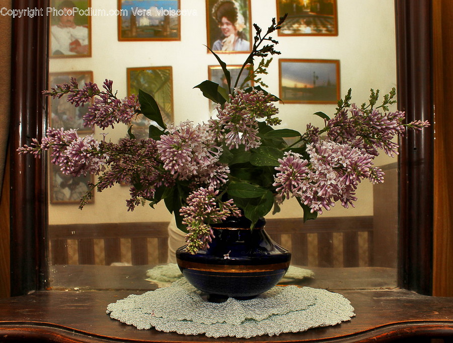 Plant, Jar, Pottery, Vase, Flower