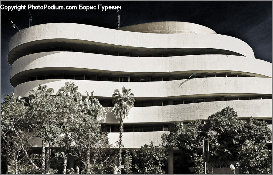 Plant, Potted Plant, Arch, Tree, Awning, Building, Office Building