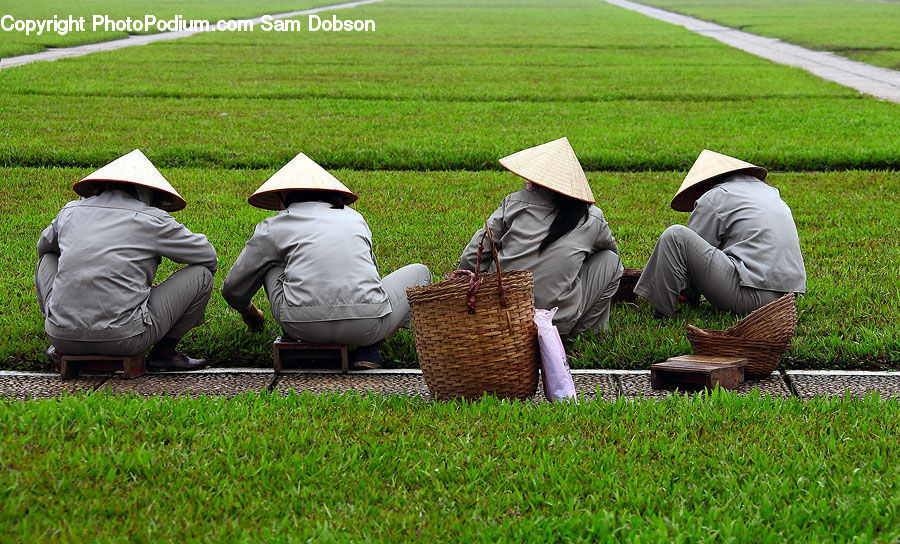 People, Person, Human, Planting, Countryside, Field, Grass