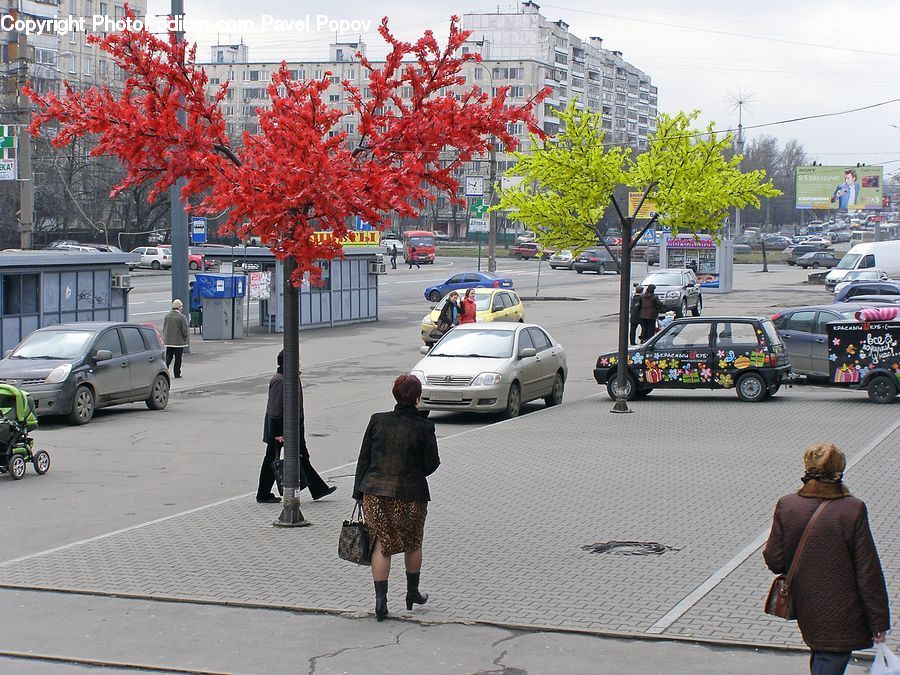 Human, People, Person, Automobile, Car, Vehicle, Intersection