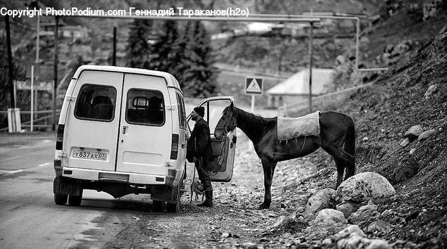 Animal, Horse, Mammal, Car, Van, Transportation, Caravan