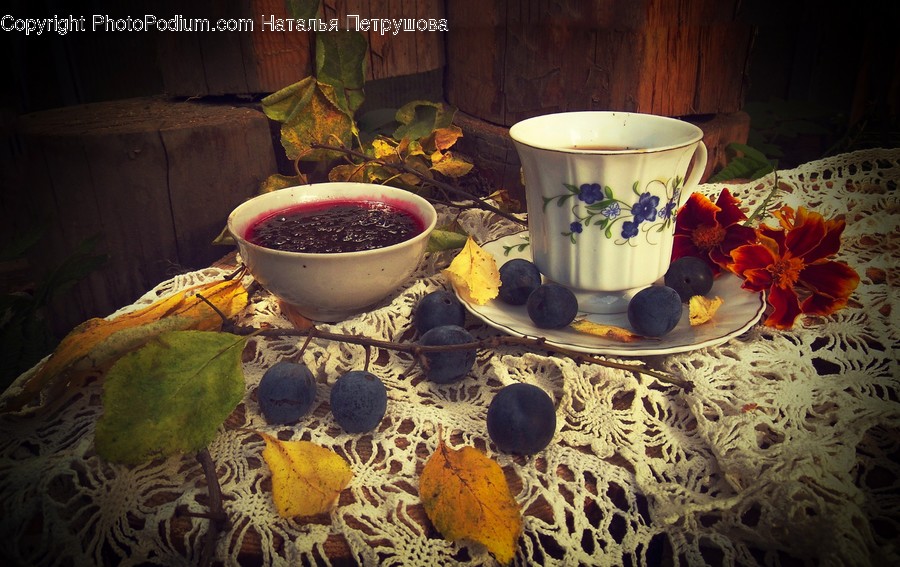 Cup, Coffee Cup, Pottery, Saucer, Plant