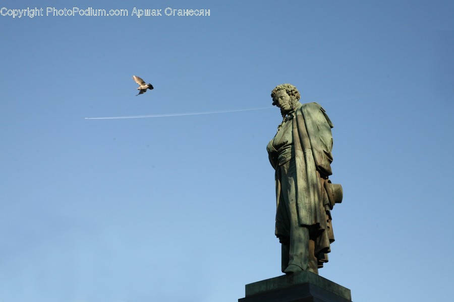 Bird, Animal, Monument, Flying, Person