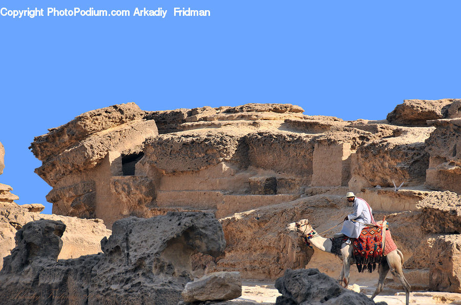 Castle, Fort, Rock, Animal, Camel, Mammal, Cliff