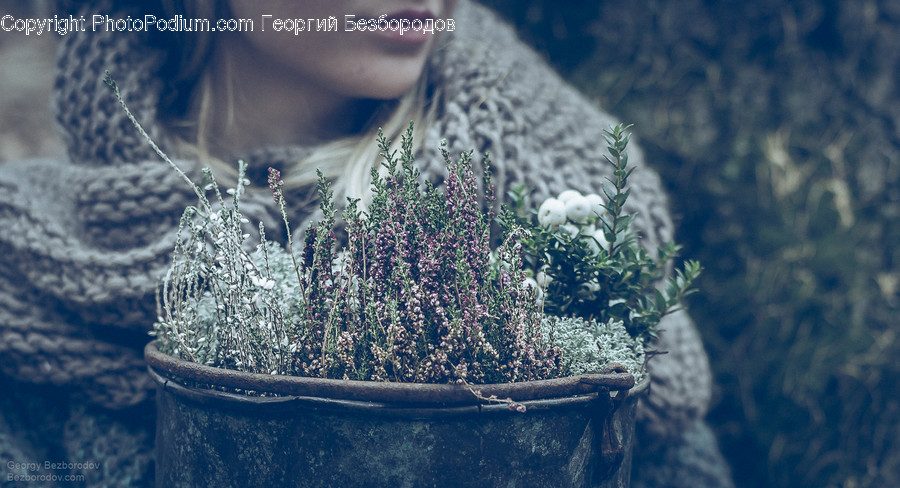 Plant, Outdoors, Person, Human, Lavender