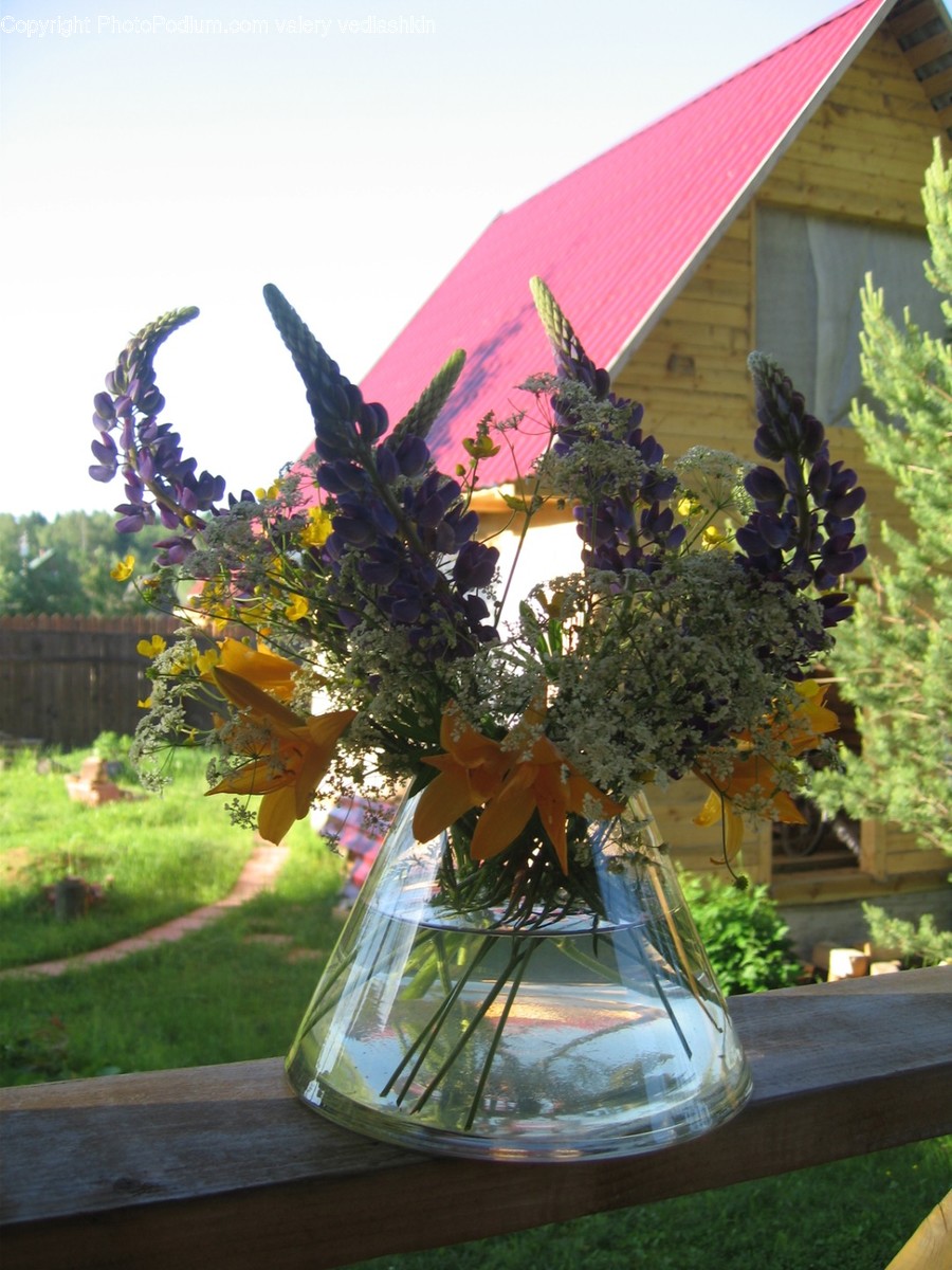Plant, Jar, Pottery, Vase, Flower Arrangement