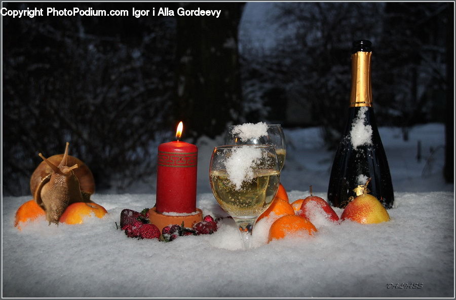 Candle, Bottle, Plant, Potted Plant, Glass, Beverage, Drink