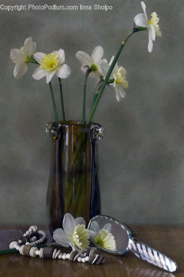 Plant, Ikebana, Pottery, Flower Arrangement, Vase