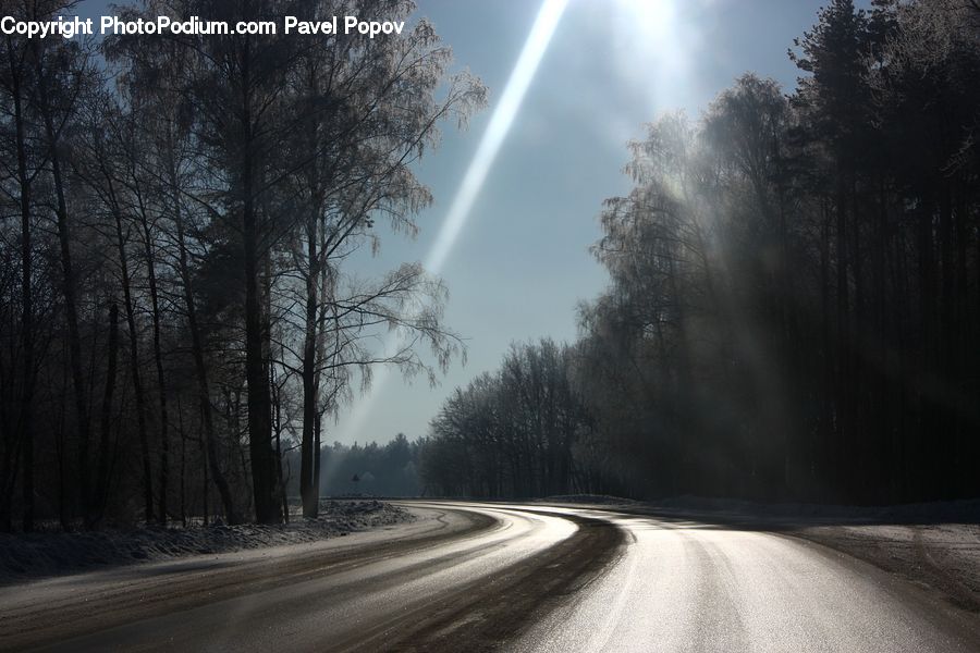 Dirt Road, Gravel, Road, Freeway, Highway, Forest, Vegetation