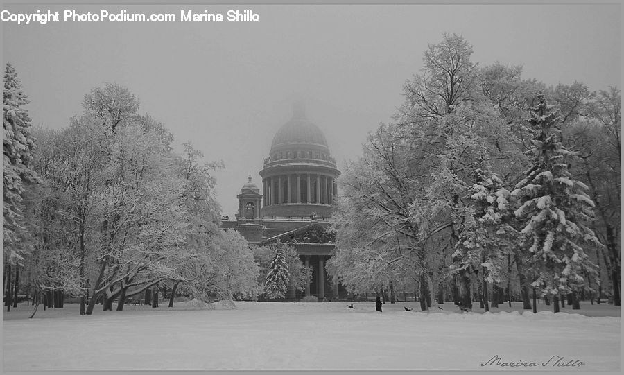 Architecture, Dome, Frost, Ice, Outdoors, Snow, Plant