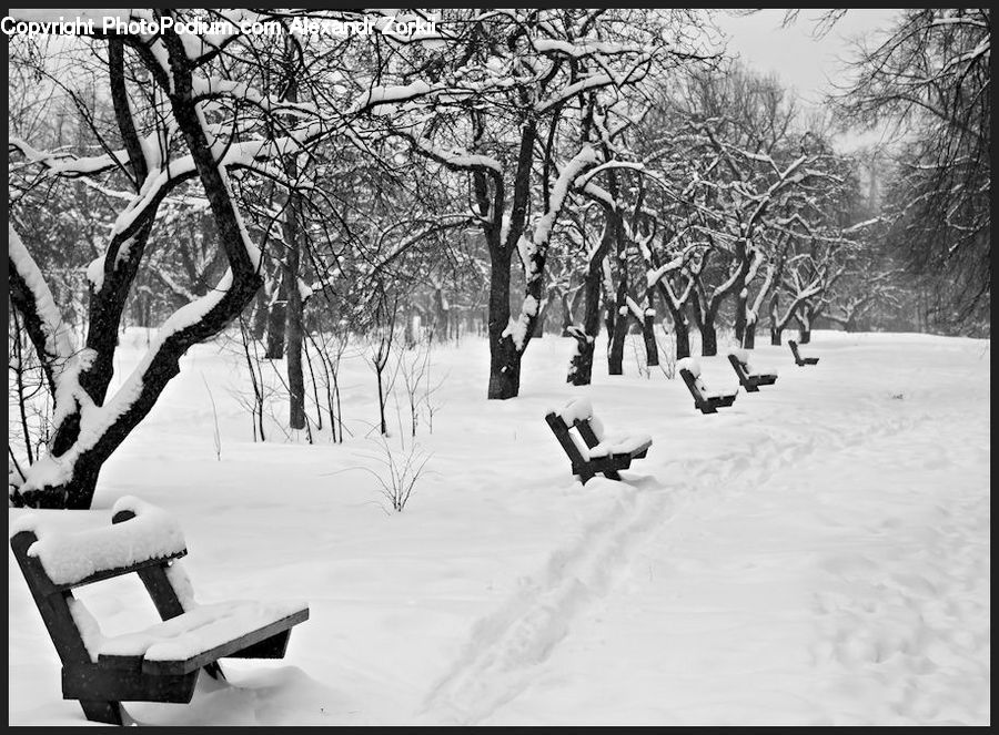 Bench, Chair, Furniture, Ice, Outdoors, Snow, Park Bench