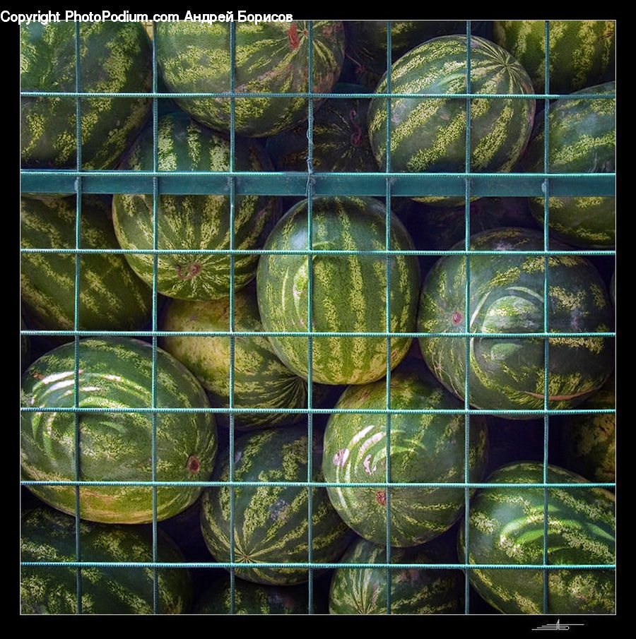 Collage, Poster, Planet, Universe, Fruit, Watermelon, Art
