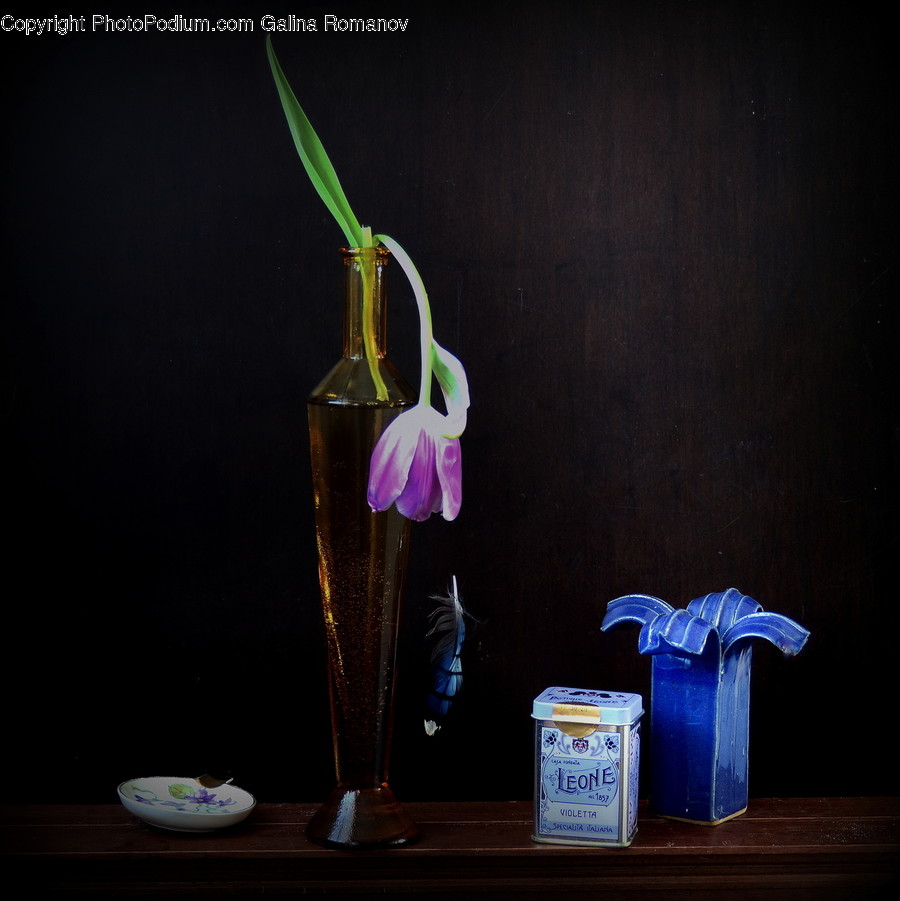 Vase, Pottery, Jar, Plant, Flower Arrangement