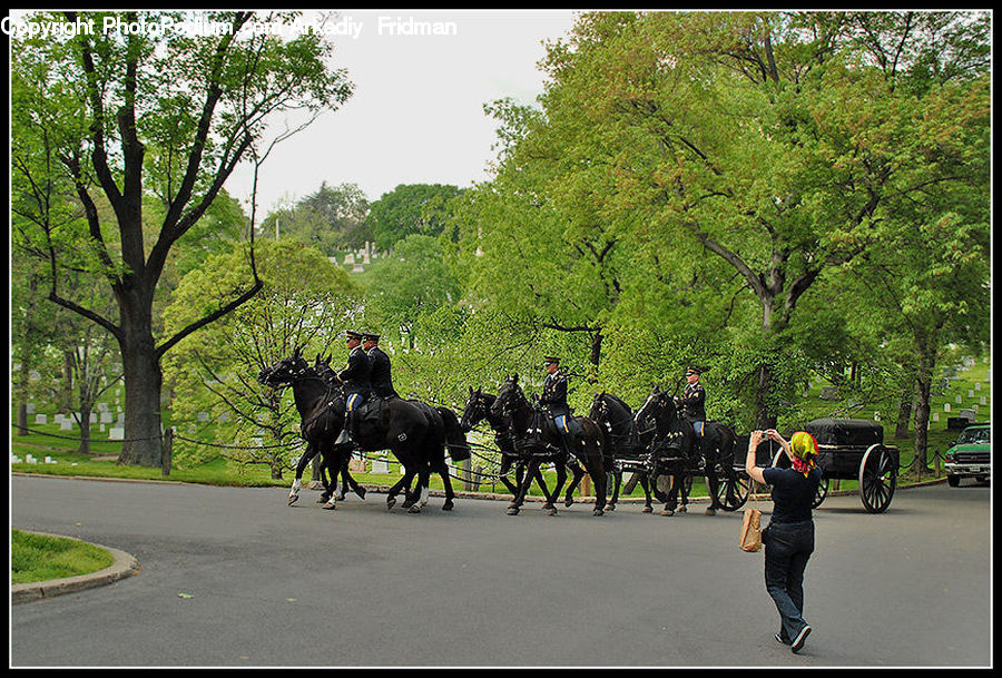 People, Person, Human, Animal, Horse, Mammal, Carriage