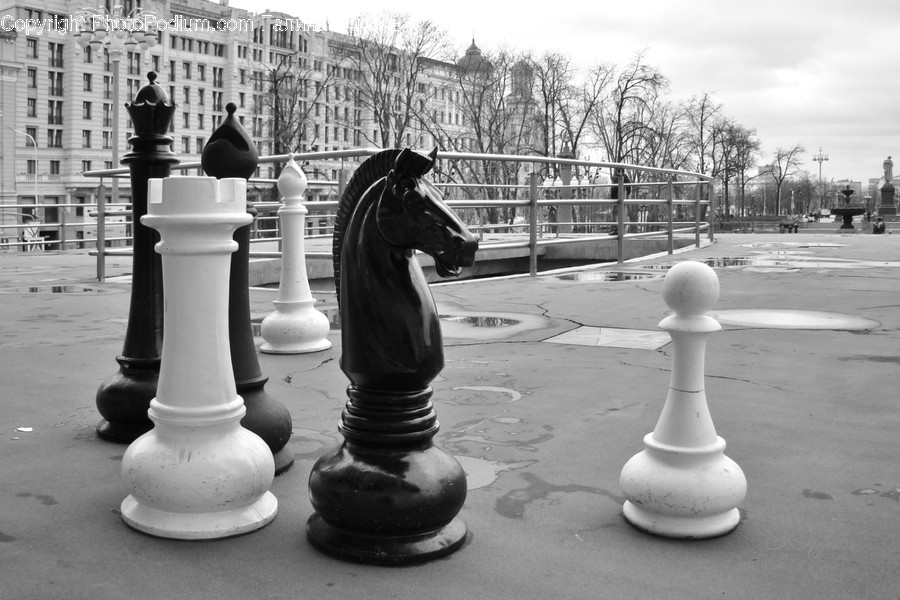 Human, Person, Chess, Game