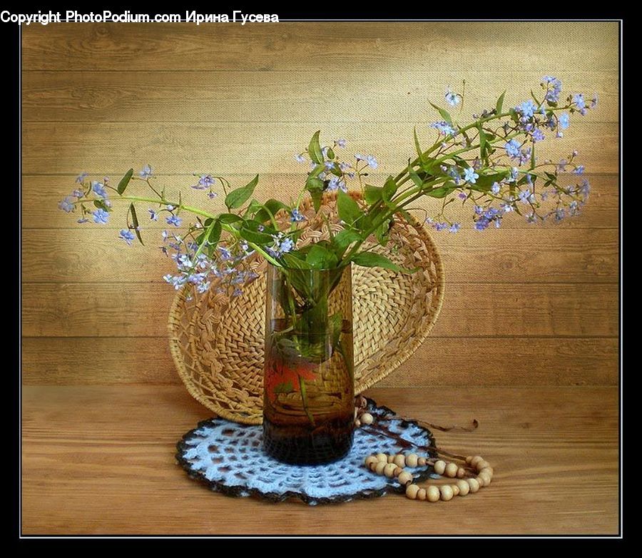 Plant, Potted Plant, Jar, Glass, Goblet, Floral Design, Flower