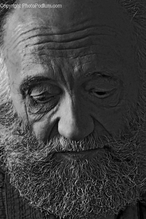 Human, Person, Face, Beard, Portrait