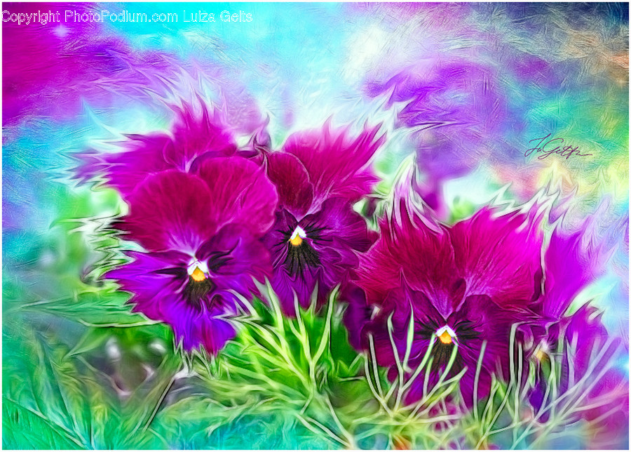 Purple, Plant, Blossom, Flower, Petal