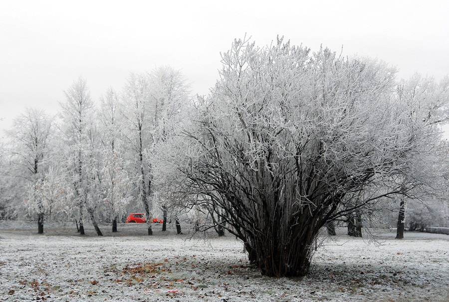 Nature, Outdoors, Ice, Frost, Snow