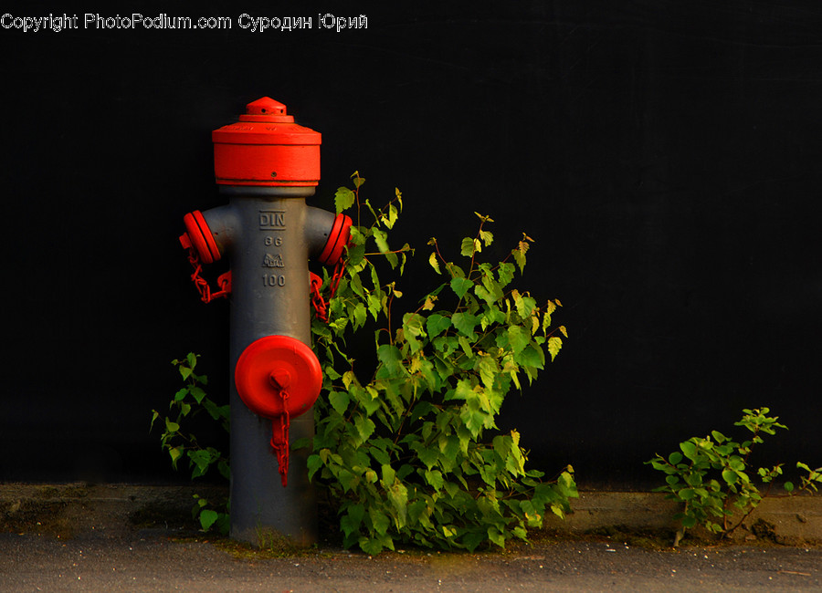 Hydrant, Fire Hydrant