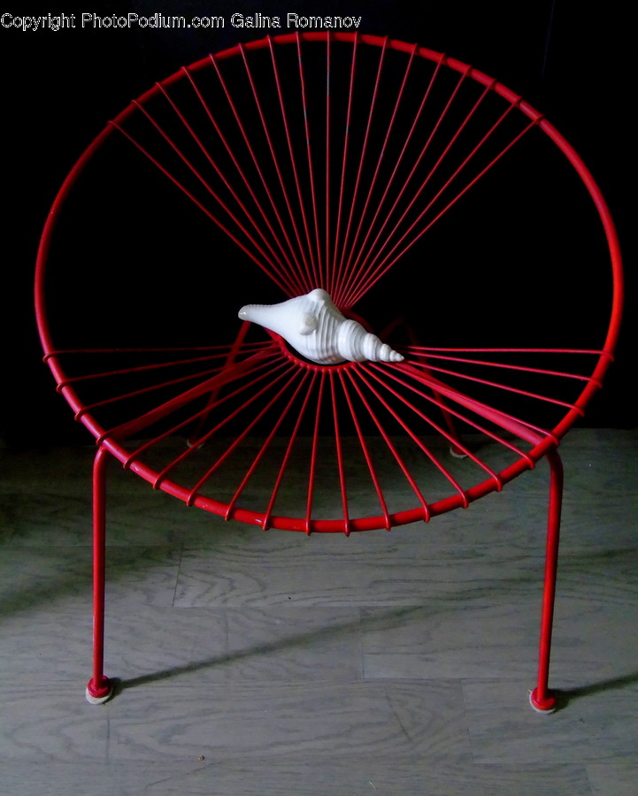 Chair, Furniture, Water, Animal, Bird