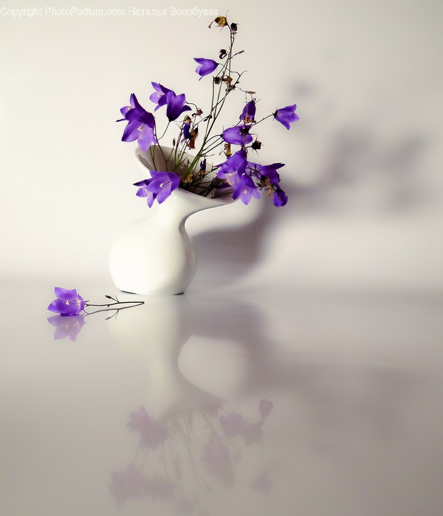 Flower Arrangement, Vase, Pottery, Ornament, Art