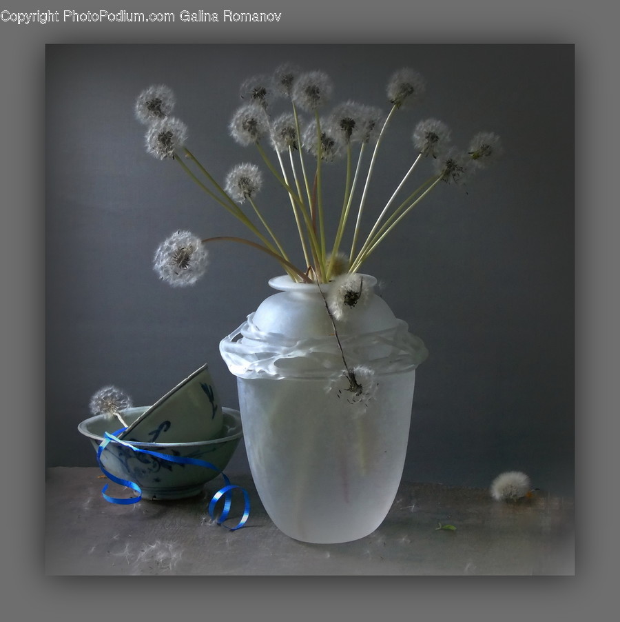 Plant, Blossom, Flower, Jar, Vase