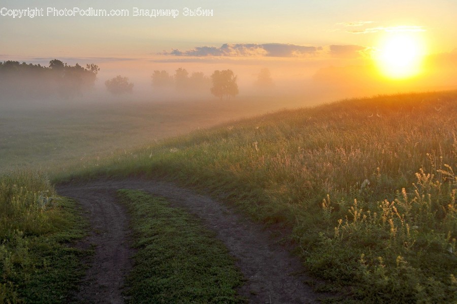 Nature, Outdoors, Flare, Light, Weather