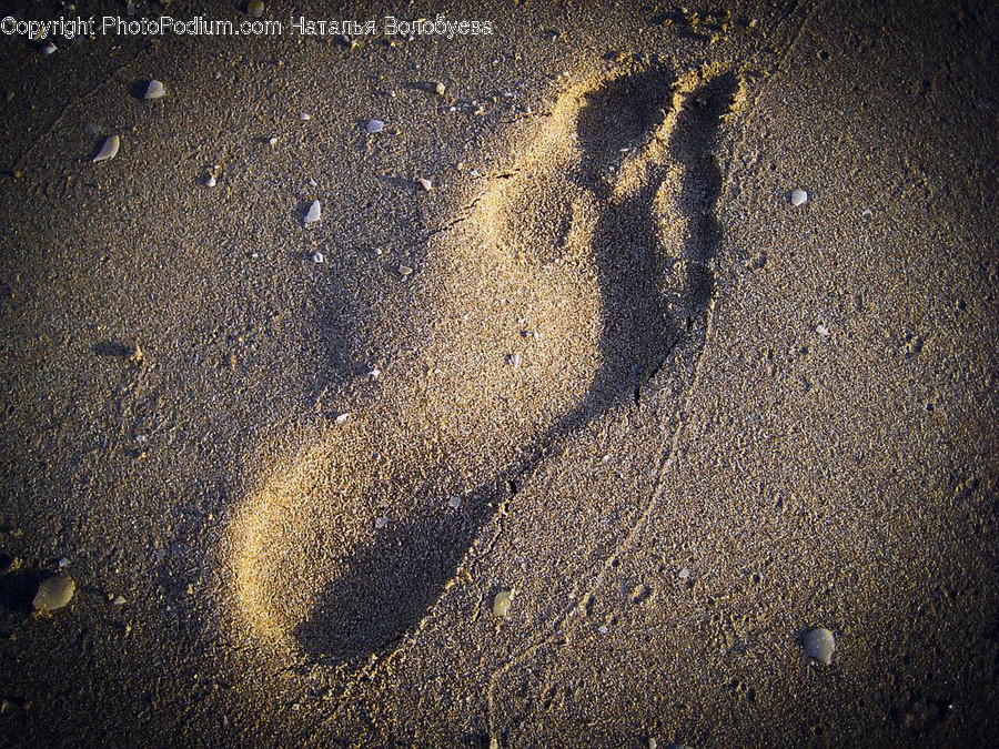 Footprint, Sand, Outdoors, Nature