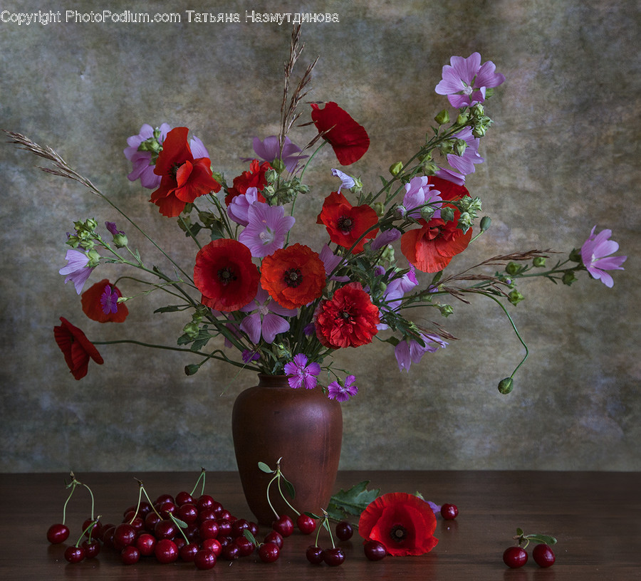 Vase, Blossom, Jar, Flower Arrangement, Art