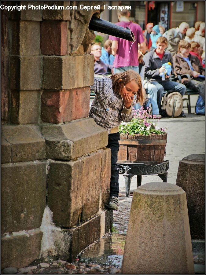 Plant, Potted Plant, People, Person, Human, Bench, Audience