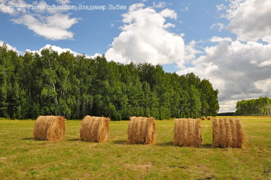 Nature, Outdoors, Countryside, Hay, Straw