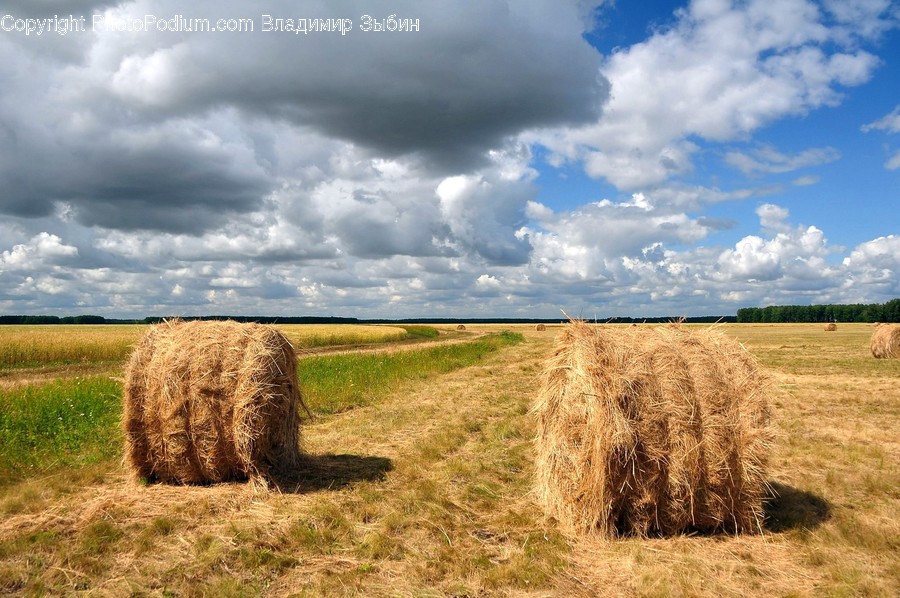 Nature, Outdoors, Countryside, Hay, Straw