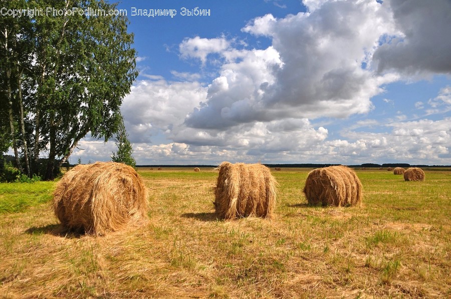 Nature, Outdoors, Countryside, Straw, Hay