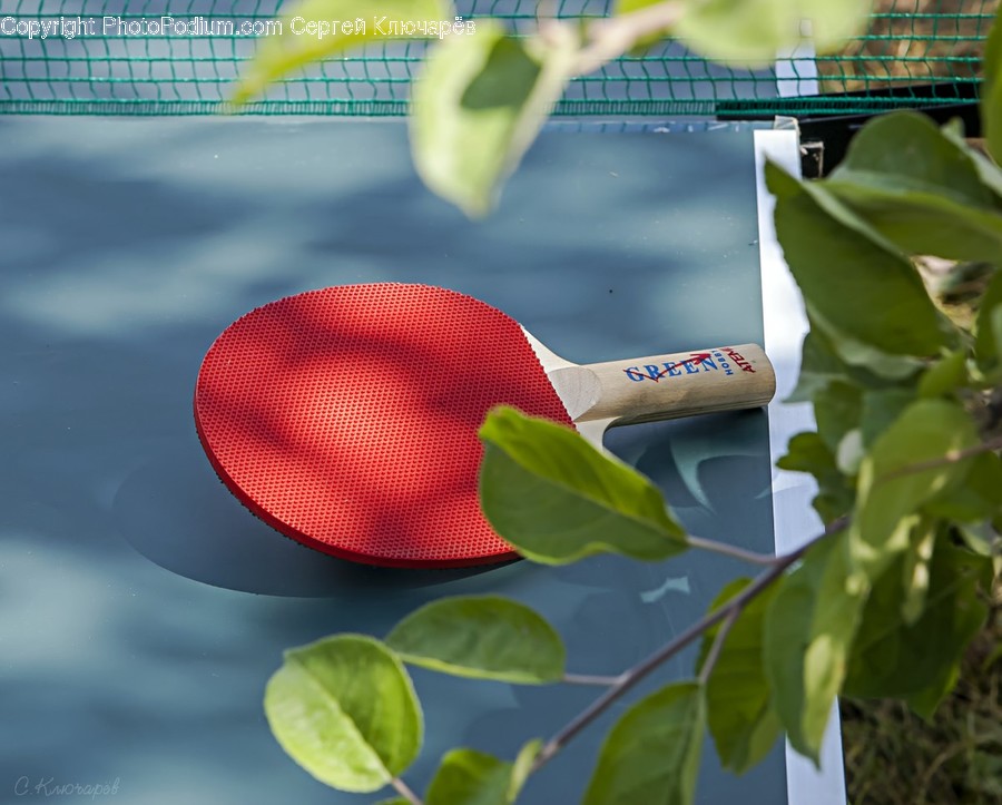 Racket, Plant, Tennis Racket, Sports, Sport