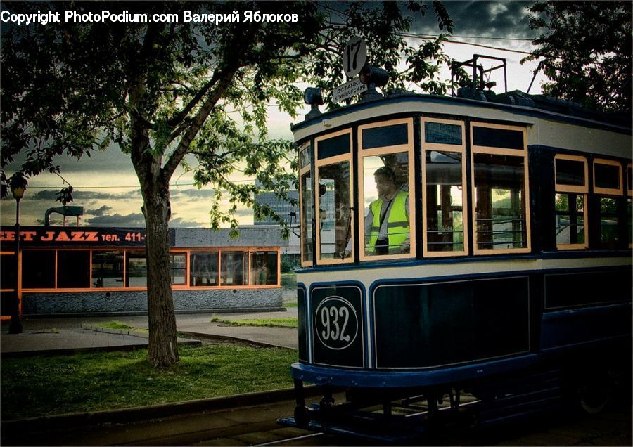Cable Car, Streetcar, Trolley, Vehicle, Plant, Potted Plant, Rail