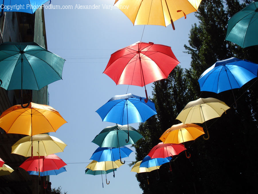 Umbrella, Canopy, Outdoors, Rural, Countryside