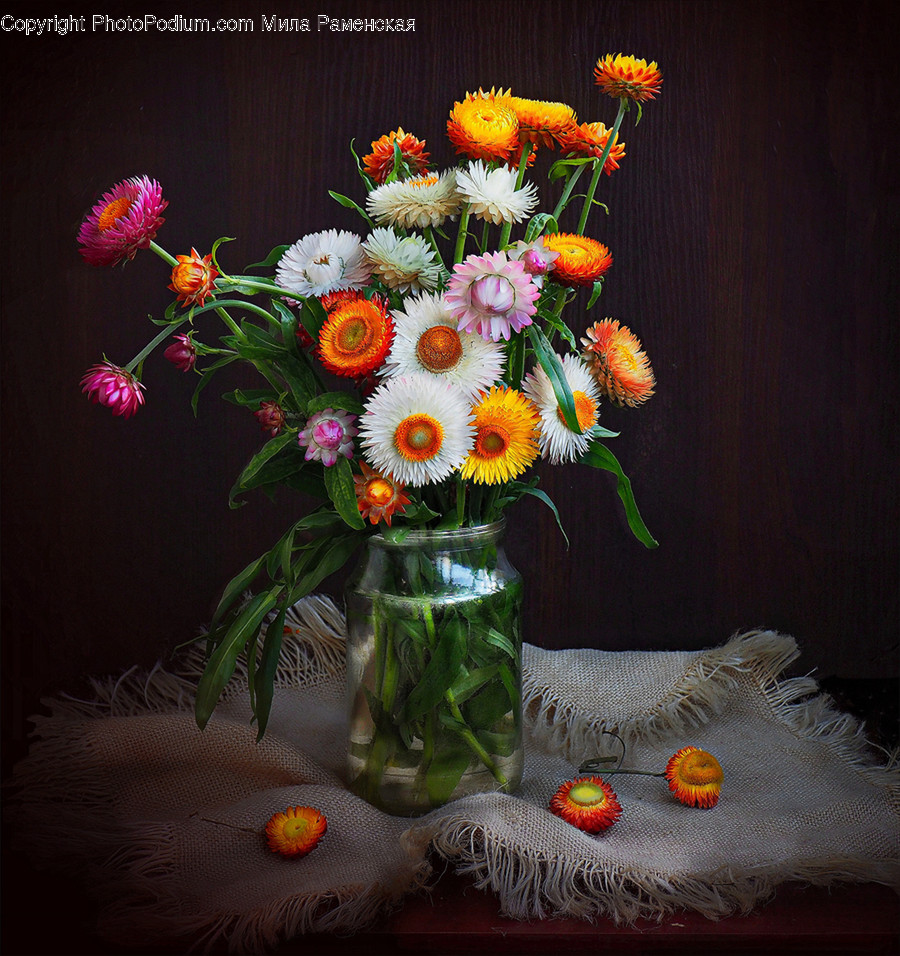 Plant, Flower Arrangement, Blossom, Flower, Flower Bouquet