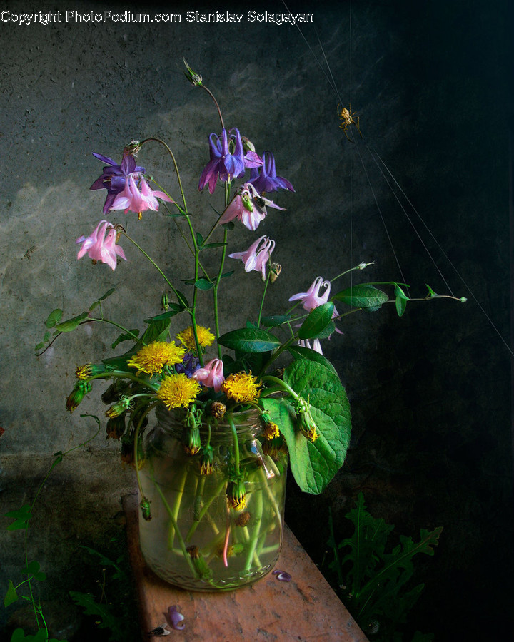 Flower Arrangement, Plant, Art, Ornament, Vase
