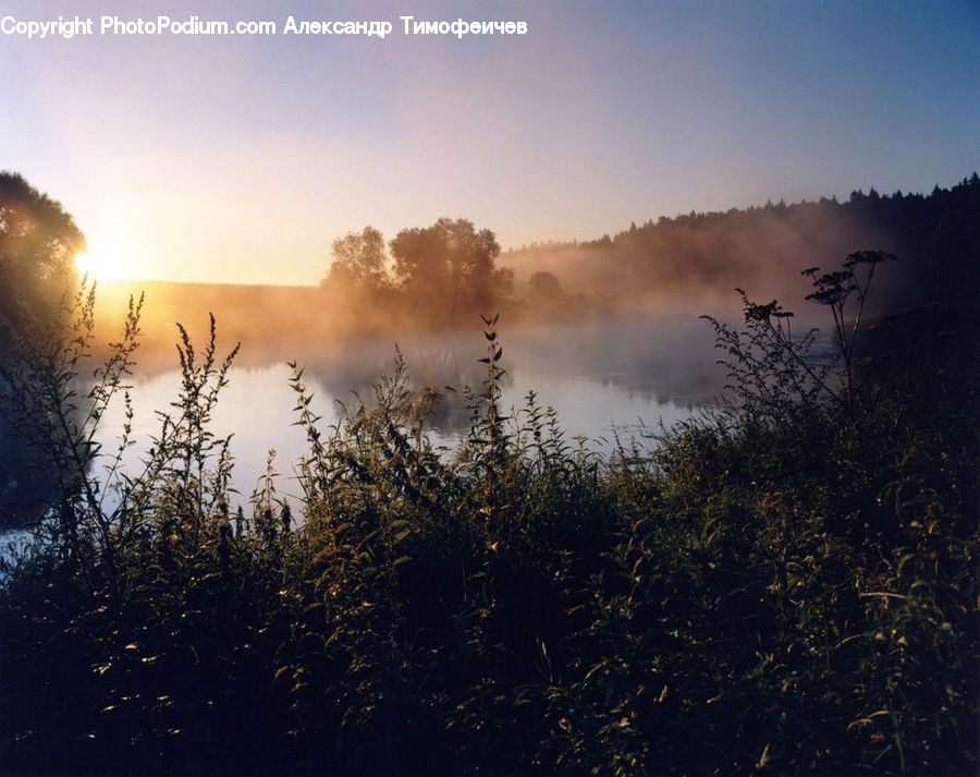 Dawn, Dusk, Sky, Sunrise, Sunset, Flare, Light