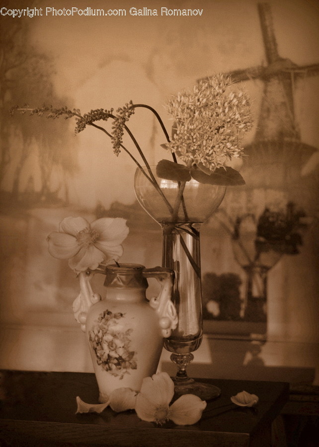 Jar, Ornament, Flower Arrangement, Flower, Blossom