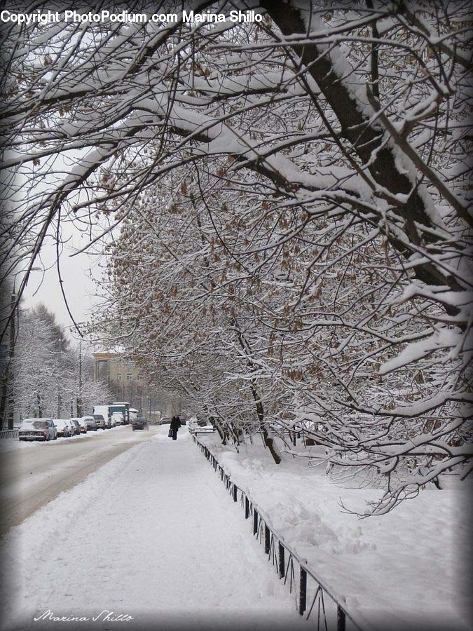 Ice, Outdoors, Snow, Landscape, Nature, Scenery, Park