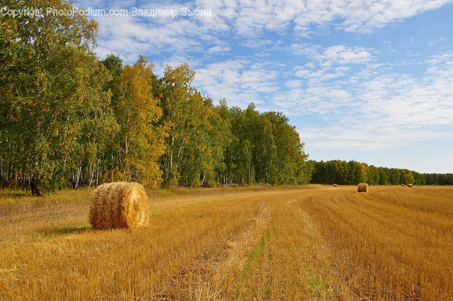 Nature, Outdoors, Countryside, Field, Hay