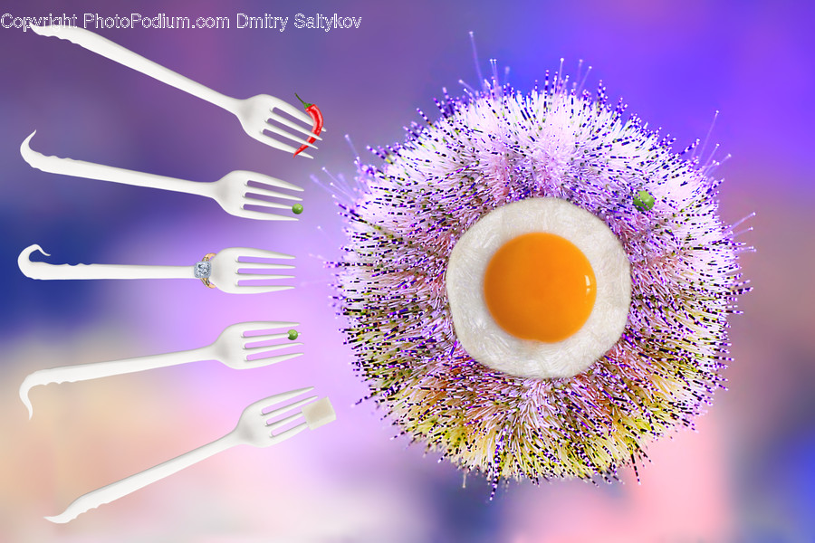 Food, Egg, Cutlery, Fork, Graphics