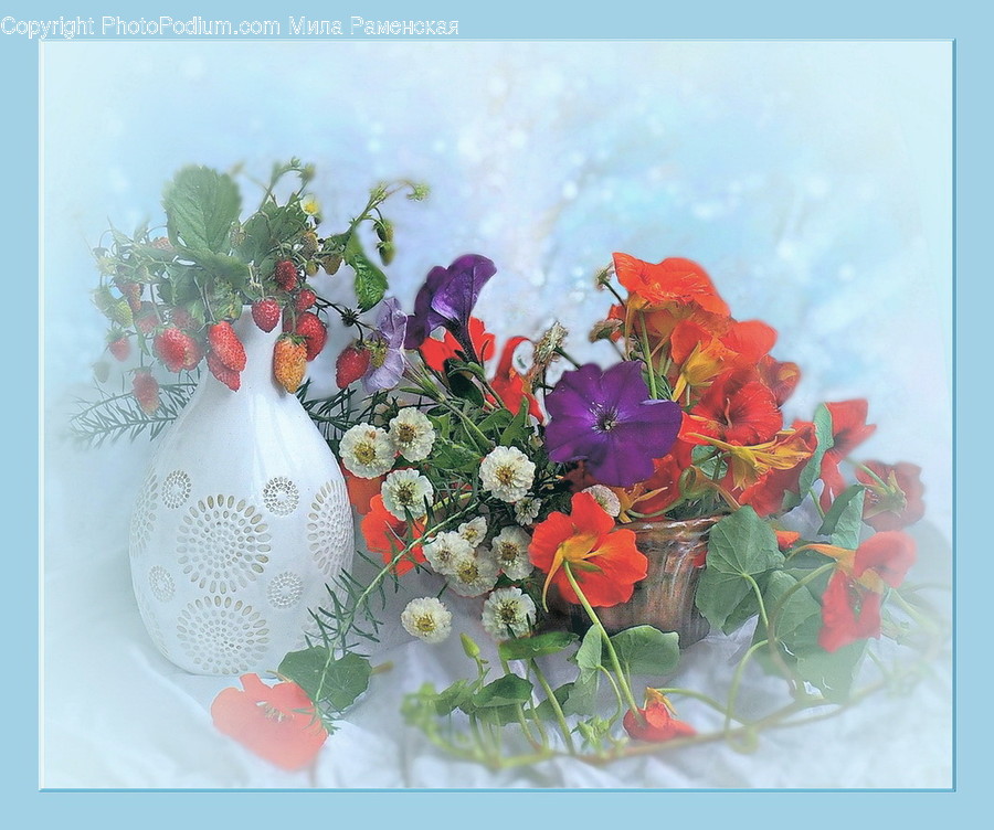 Plant, Blossom, Flower, Flower Arrangement, Flower Bouquet
