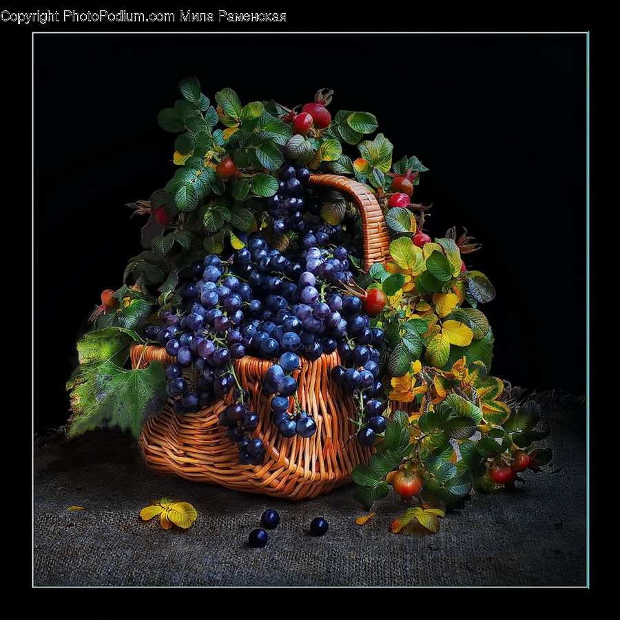 Plant, Tree, Food, Fruit, Basket