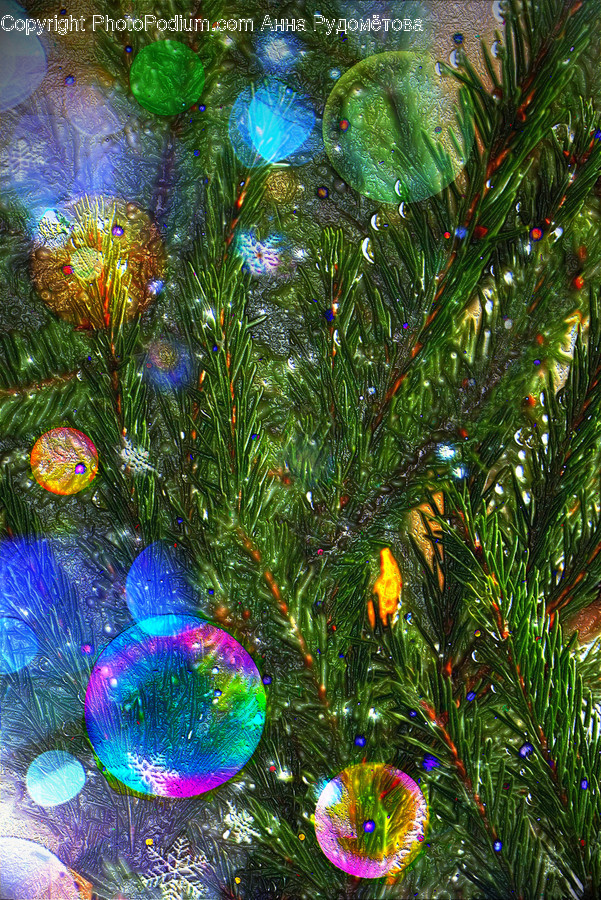 Tree, Ornament, Christmas Tree, Plant, Light