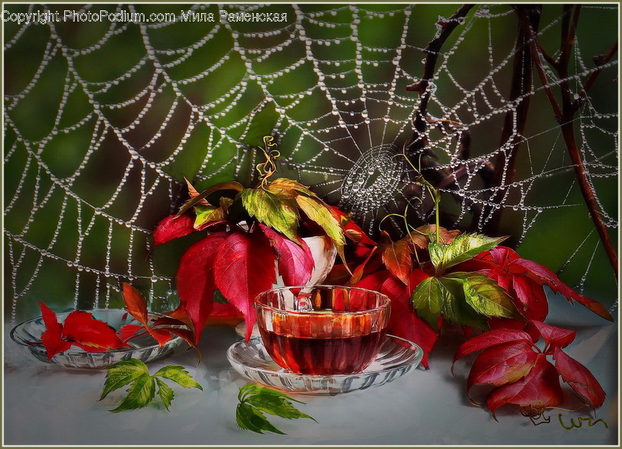 Spider Web, Glass, Goblet