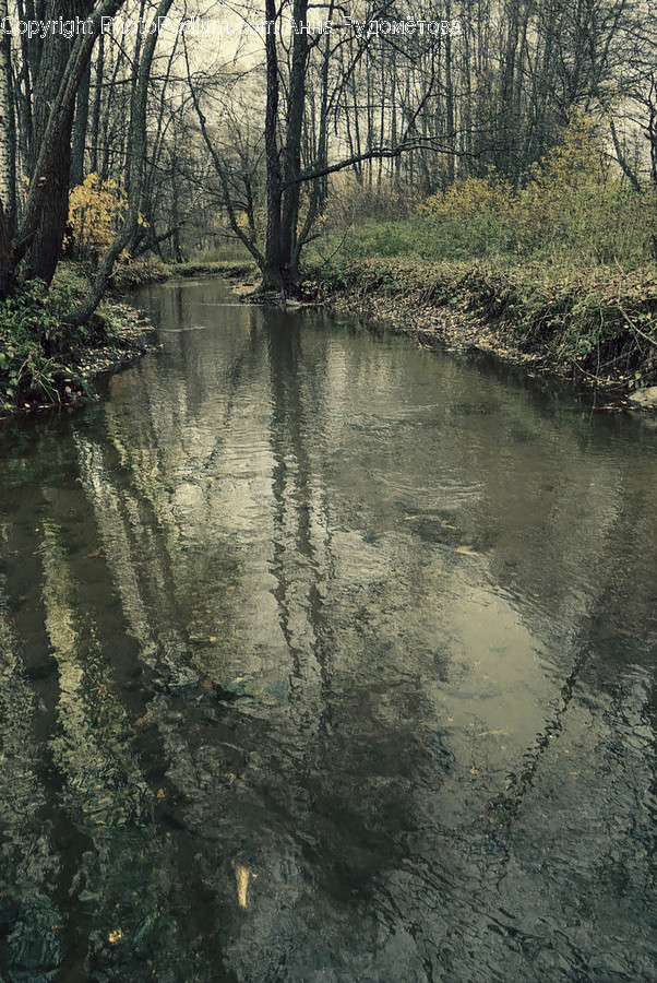 Water, Nature, Outdoors, Land, Ditch