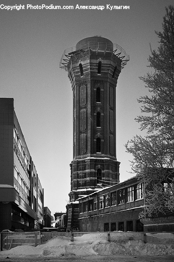 Architecture, Tower, Ivy, Plant, Vine, City, Downtown